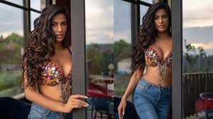 Pornography case raj kundra sherlyn chopra poonam pandey granted anticipatory bail all jpg x Pandey poonam