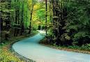 Image result for u202bجنگل النگدرهu202c