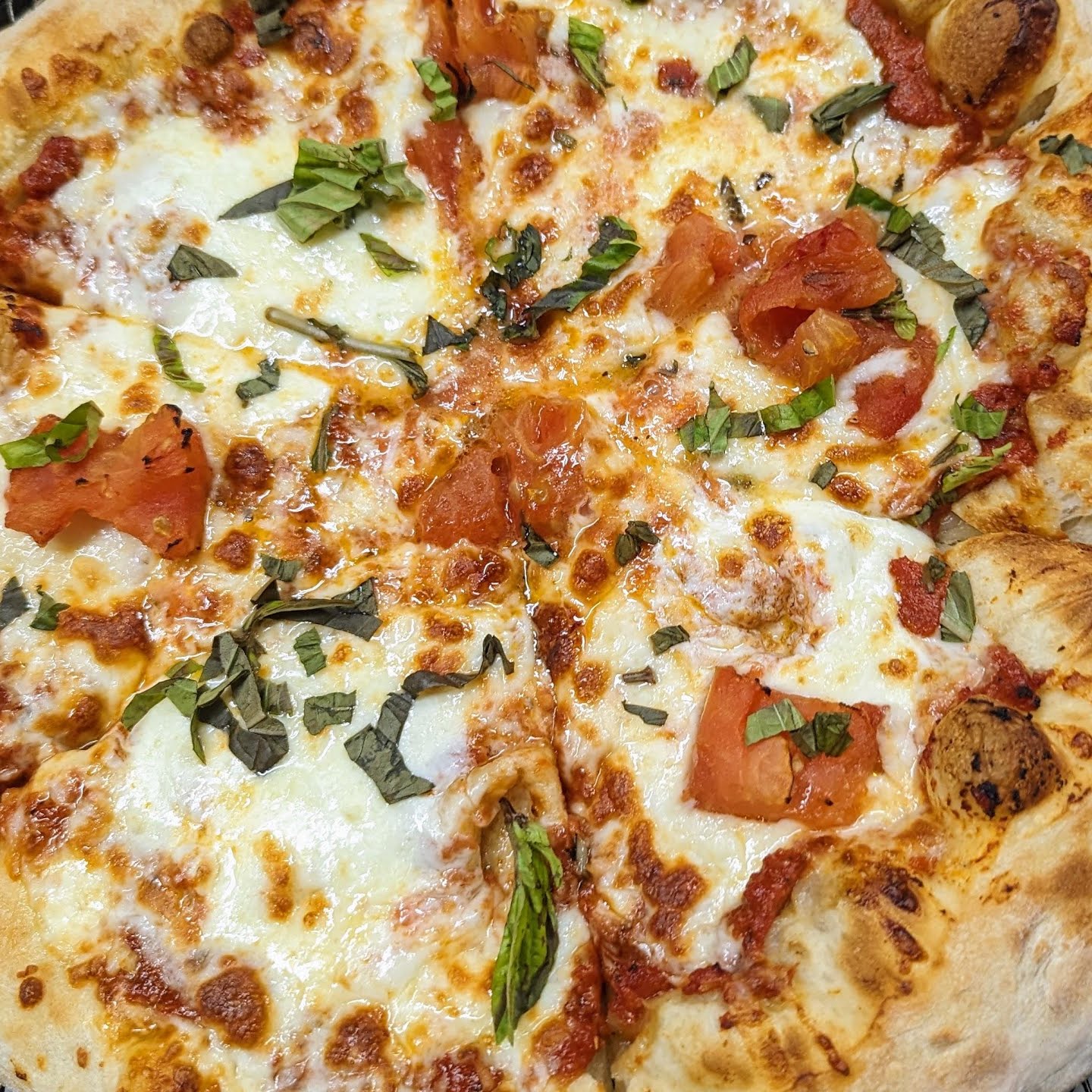 New Republik by null