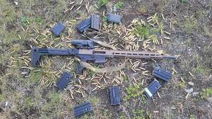 siberian mouses  fuck|東京のレコードショップ BASE のオンライン・ショップ：レコードショップベース