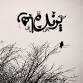 Image result for u202bميشه پرنده باشي اما رها نباشيu202c