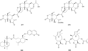 u16 nude ls|Tuam Rugby Football Club - 🔴🔵U-13 BOYS RESULT🔴🔵 Dunmore 22 Tuam 15 Hard  luck to our under 13 boys who were narrowly beaten by Dunmore Rugby Club in  a really enjoyable game
