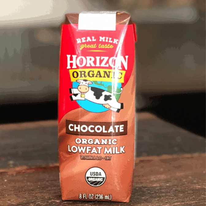 The Bagel Project by null