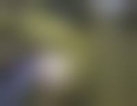 dog daughter sex|Mother and daughter with two dogs - Dog Porn - Zoo Porn Dog at Katitube