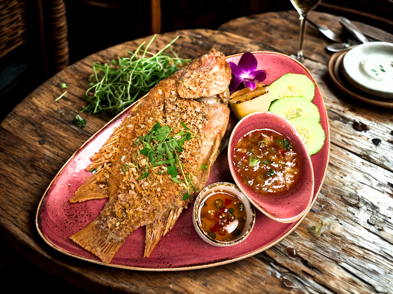 Osha Thai Kitchen by null