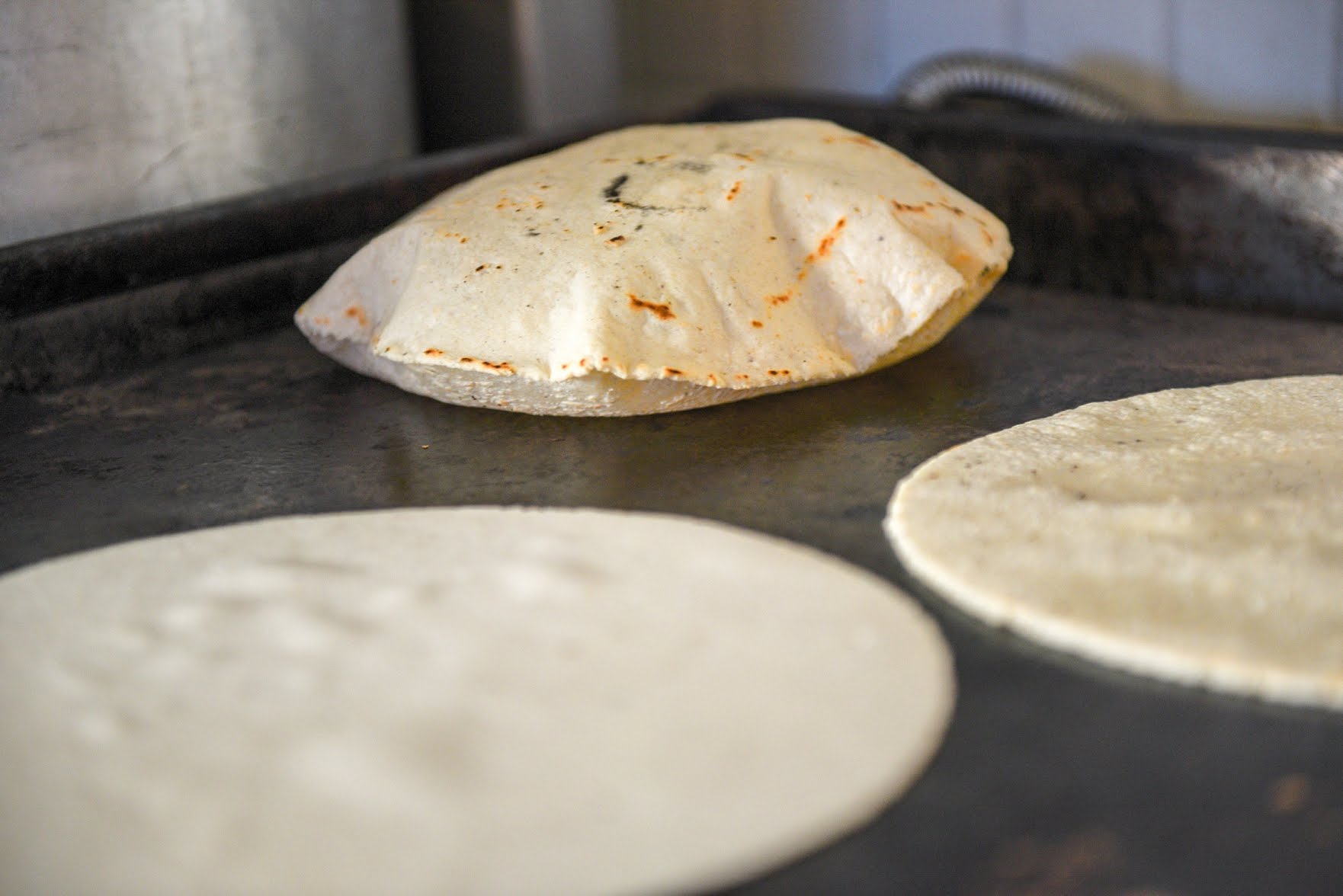 Mi Zacatecas Cousine LLC by null