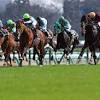 競馬AIがシンザン記念を大予想 厳選ワイド3点＆3連複10点で勝負 ...