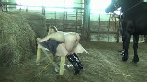 Woman gets fucked a horse in farm porn luxuretv jpg x Girl gets fucked by horse