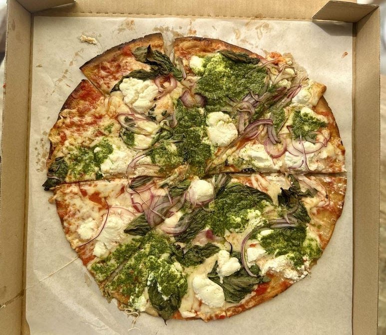 Little Coyote by null