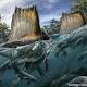 Fossils of biggest dinosaur predator found