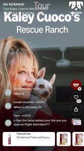 Is fans creators are unfair to sheldons character and ilc jpg x Kaley cuoco fucking