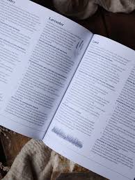 mothers dirty dreams|Cavetown Mother Mother | TikTok