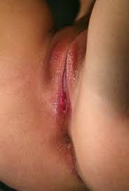 Virgin vagina jpg x Virgin vagina