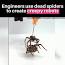 Spiders: Nature's Underappreciated Engineers ile ilgili video