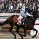 Price wary of Tarzino's chances of winning Australian Guineas 