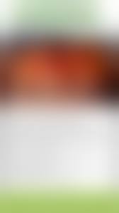 purenudismhost island 1img.jpg4.info|Nibbler - Test any website