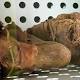 Time Travel Is for Real? 1500-Year-Old Mummy Found Wearing 'Adidas Sneakers' 