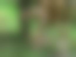 horse bestiality young|Young zoophilia jerking off the gifted horse - Zoo Xvideos