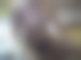 korean amateur schoolgirl pussy|In case you haven't met a big titty Korean law school girl..