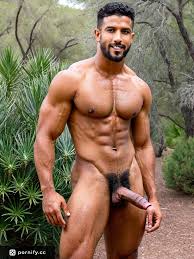 Indian penis jpg x Indian penis
