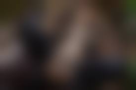 ジュニアイドル ボンデージ|やんちゃなJK/大平香里Part２ メイキング③バイクでボンデージ！編 | （新）U-15アイドルDVDレビューbyくろかわ