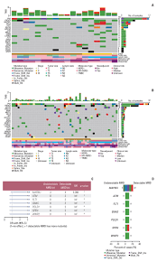 jeon boram fake nude|Cancer Research and Treatment