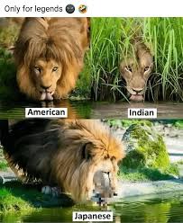 Japanese american jpg x Japanese vs american