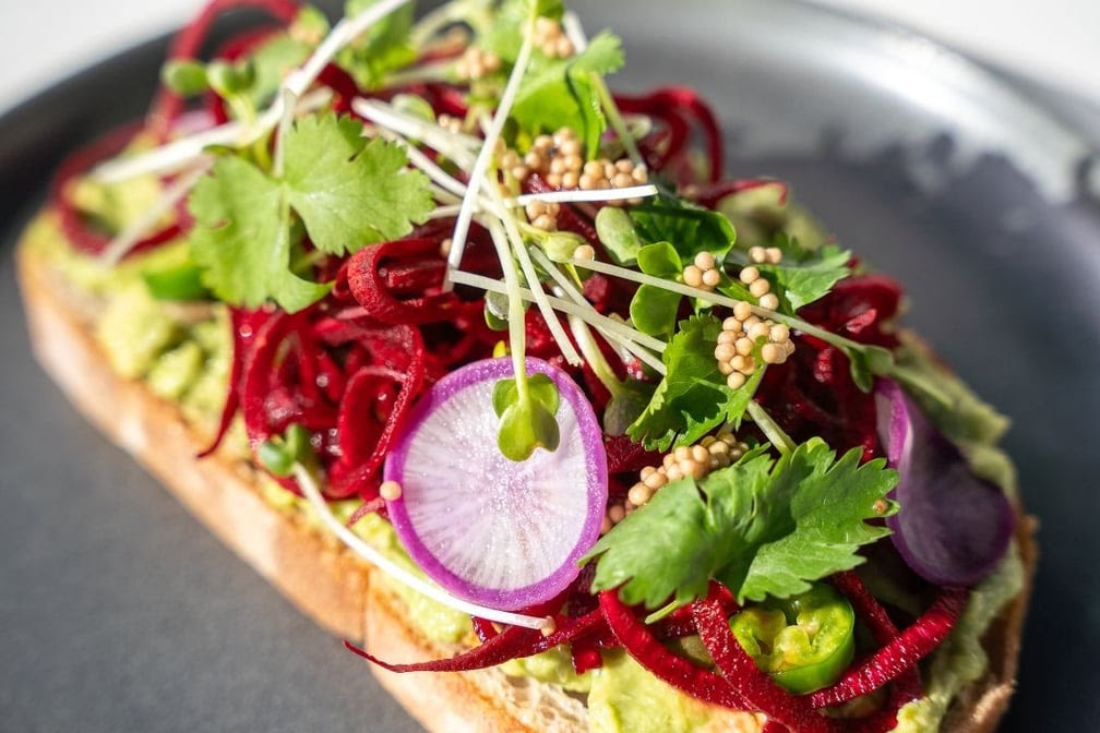 Parakeet Cafe - Del Mar by null