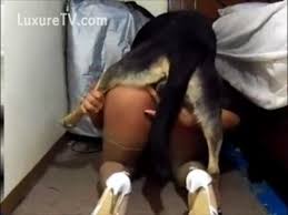 Artofzoo your woman sarahts dog porn jpg x Shemale fucks dog