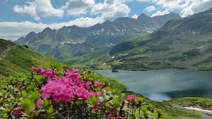 rajce.idnes. koupani 86|harmiva – seznam alb na Rajčeti