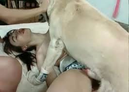 Woman fucking with animals zoophilia sex zoo xvideos jpg x Woman fucking animals