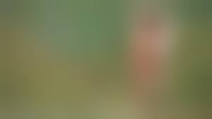 CMNF outdoor|Street Amateur Nude Outdoor Outside