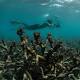 A Sea Change for Climate Coverage 
