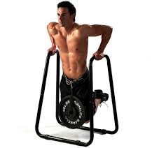 Appareil Dips Physionics Station Dips Musculation Physionics - Charge Max 120kg, Poignées Rembourrées Pour Biceps Triceps Abs