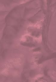 yeonhee  fake nude|Student Scholars Day