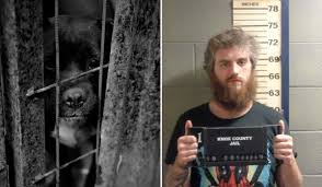 animal sex porn|Mogul #3: Nuns of Fun! – ArtOfZoo – Home of Animal Porn