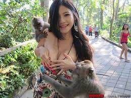 Vintage adult porn tape video o how to spank the monkey jpg x With monkey