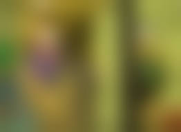 水泳大会 盗撮|競泳大会-049 | アダルト動画販売マーケットのAdama(アダマ)