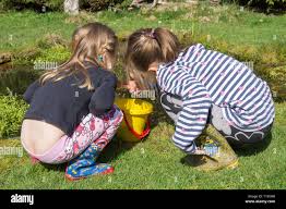 Rajce.idnes.child|Basics of Gardening