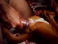 Young boy is fucked his dog bestiality porn video with man madnessporn extrem sex jpg x Guy fucked by dog