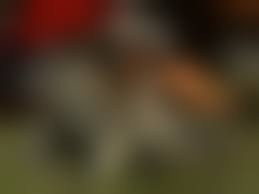 badonion hentai 3d 16|