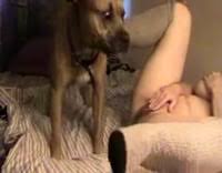 Teniendo sexo con animales jpg x Teniendo sexo con animales
