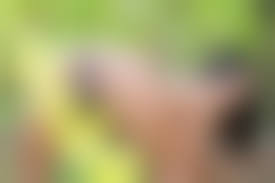 ebony pussy and ass stockings 3000 x 2000|Brunette Bent Over