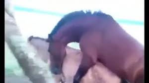 Woman fucking horse dick in the stables luxuretv jpg x Chick fucks horse