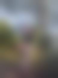 懐かしい野外露出|妻 野外露出 ビキニ① | 野外露出 | 妻画像投稿倶楽部