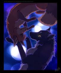 Love wolf locked in the darkness jpg x Love wolf