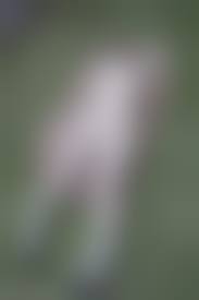 rikitake pussy |Download photo 3500x2333, asian, fingering, pussy, small tits, spreading  legs, spreading pussy, kirika miyake, anus - ID: 162468