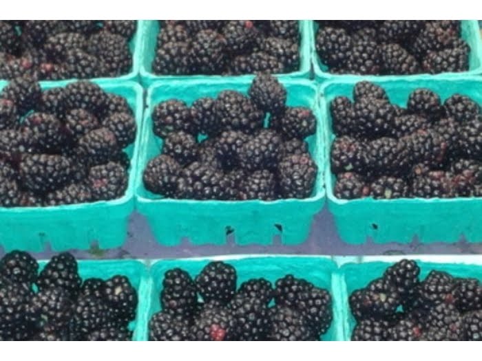 Sosio's Fruit & Produce by null