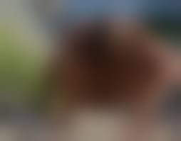 подсмотрел за пиздой|Подглядывает за пиздой (74 фото) - секс и порно