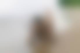 free nudist girl pics|How To Receive Free Nude Pics on Nude Girls Finder